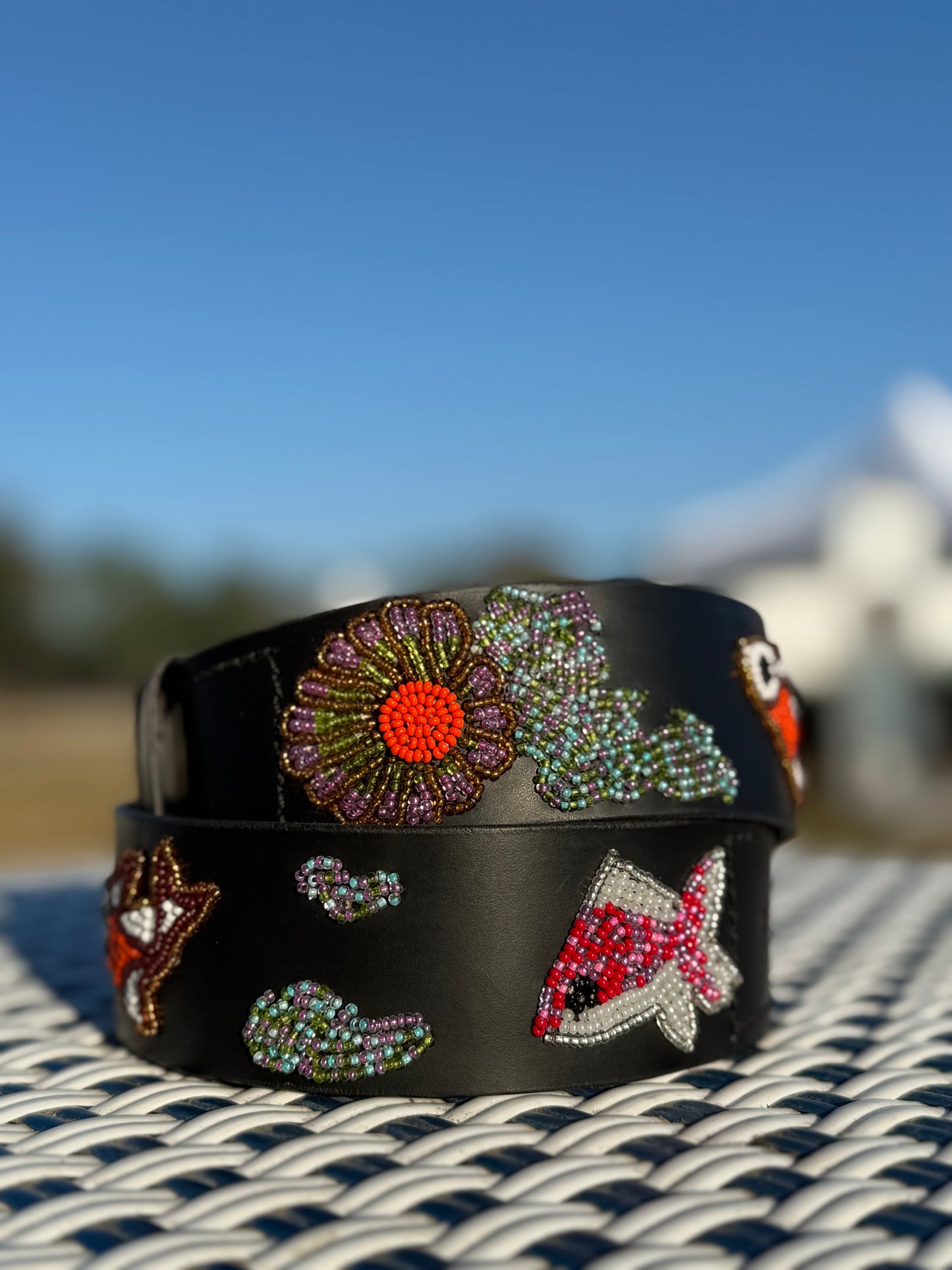 Zinj by Luxe Eq Belts Fish Collection