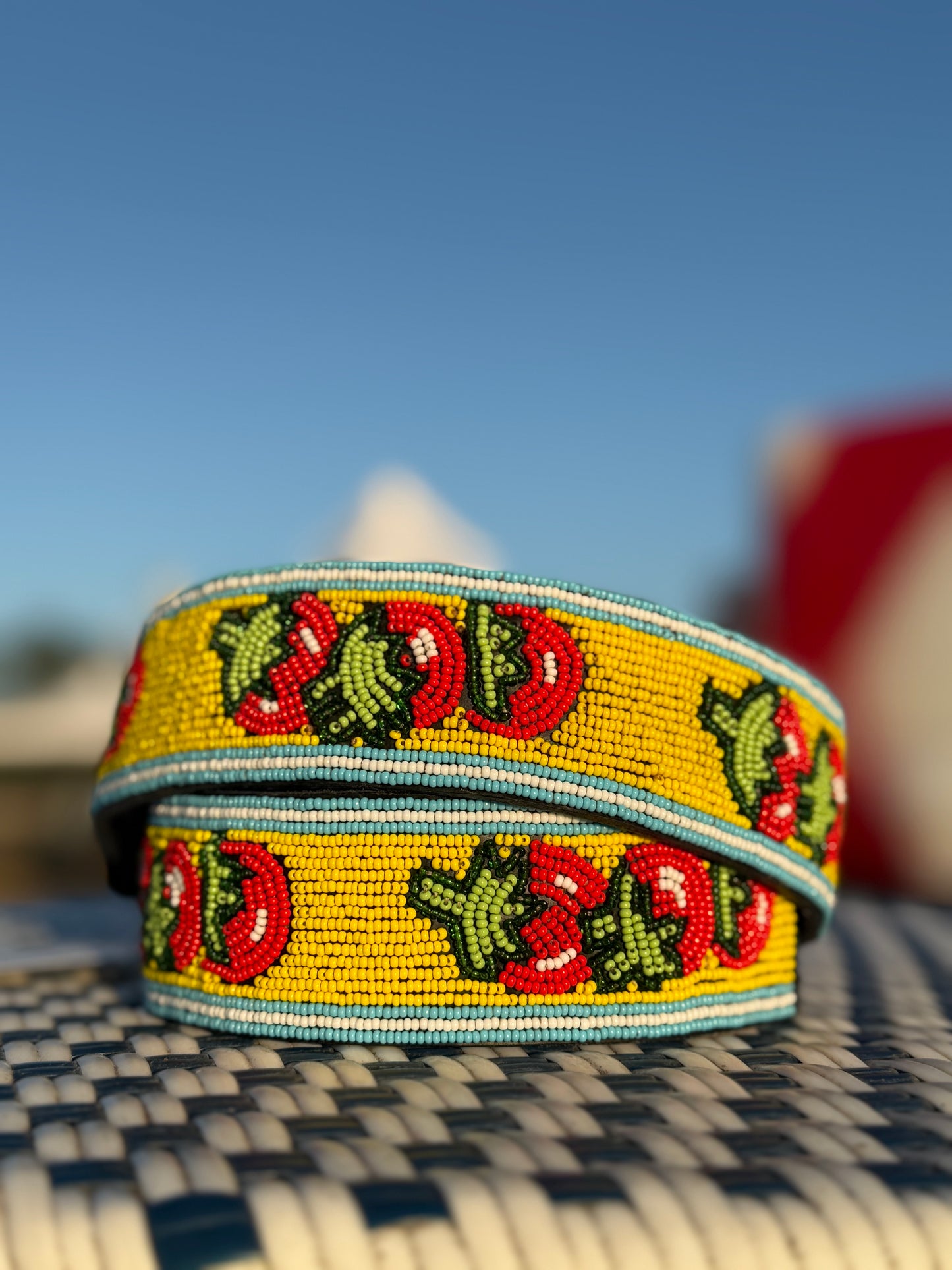 Zinj By Luxe EQ Belts Fruits and Veggies Collection