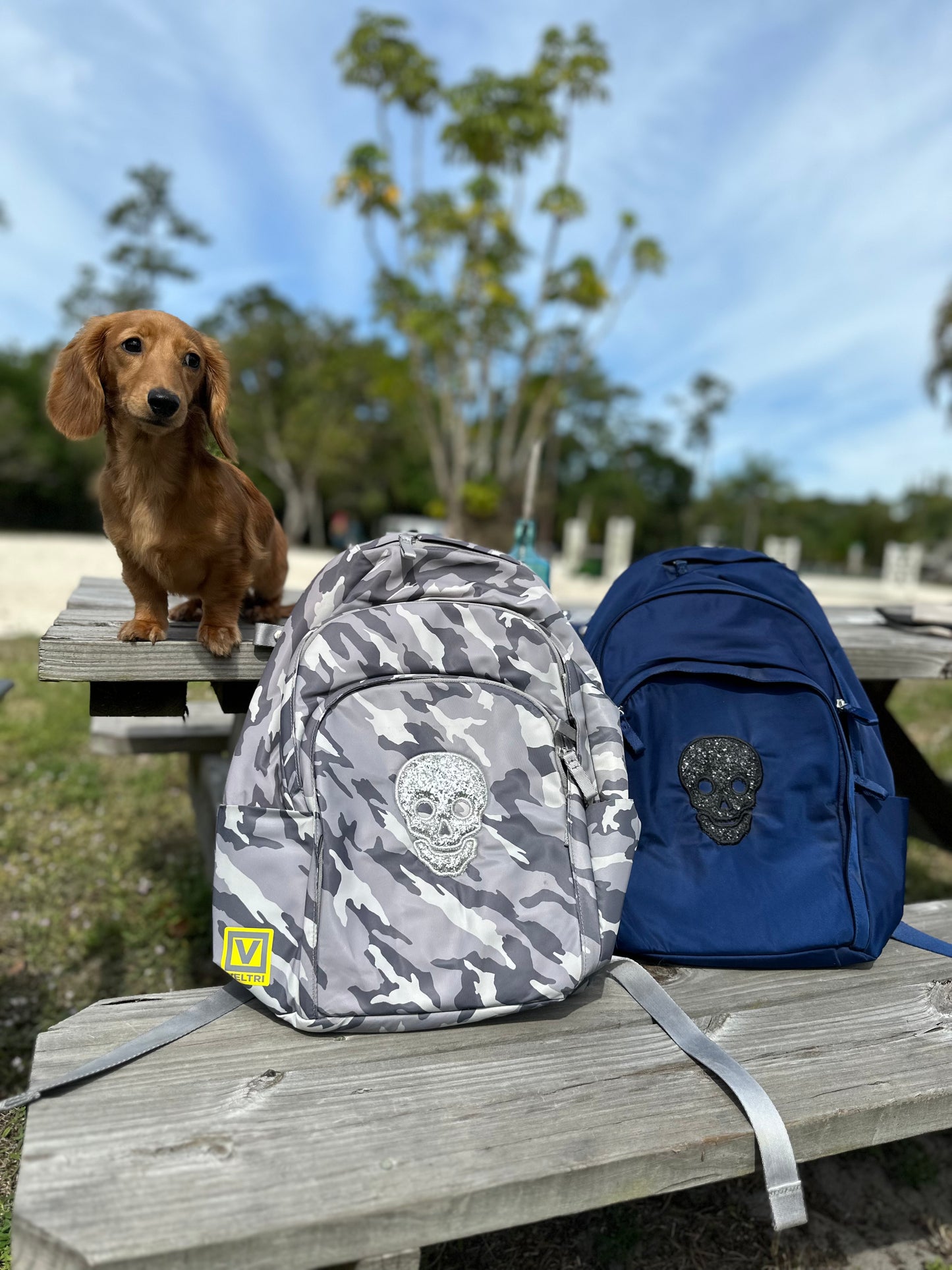 Veltri Novelty Delaire Backpack - Skull