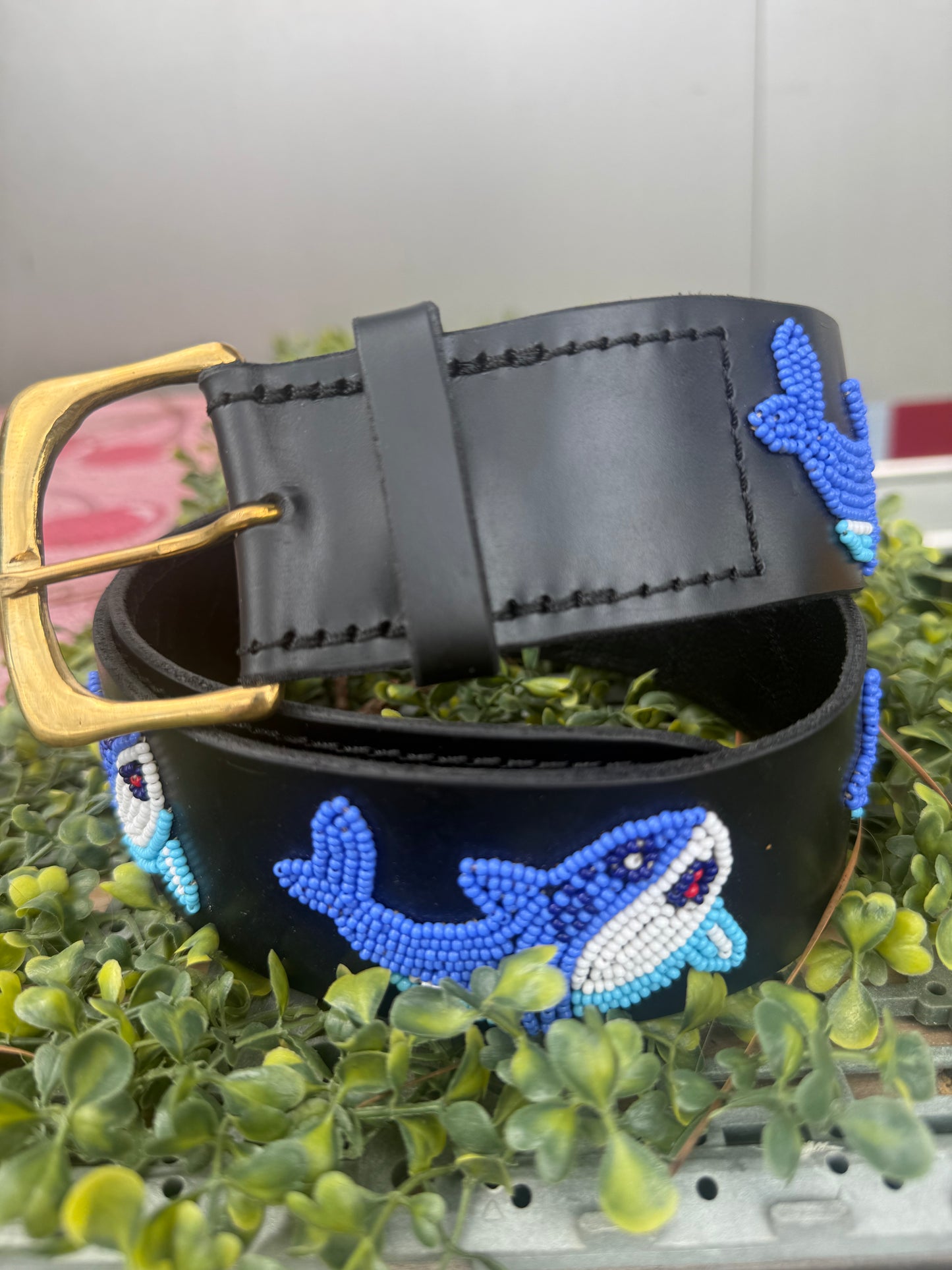 Luxe Lucky Belts by Zinj Shark Collection
