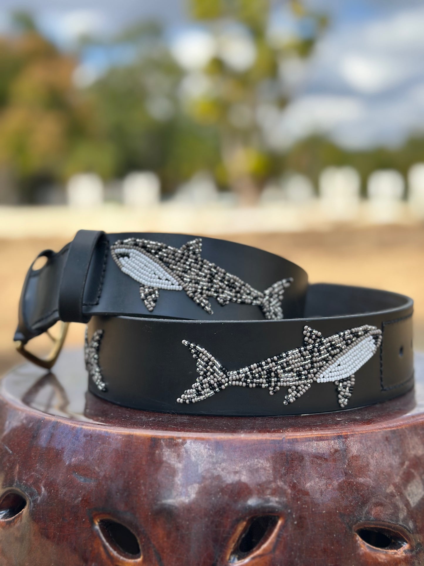 Zinj by Luxe Eq Belts Shark Collection - Luxe EQ