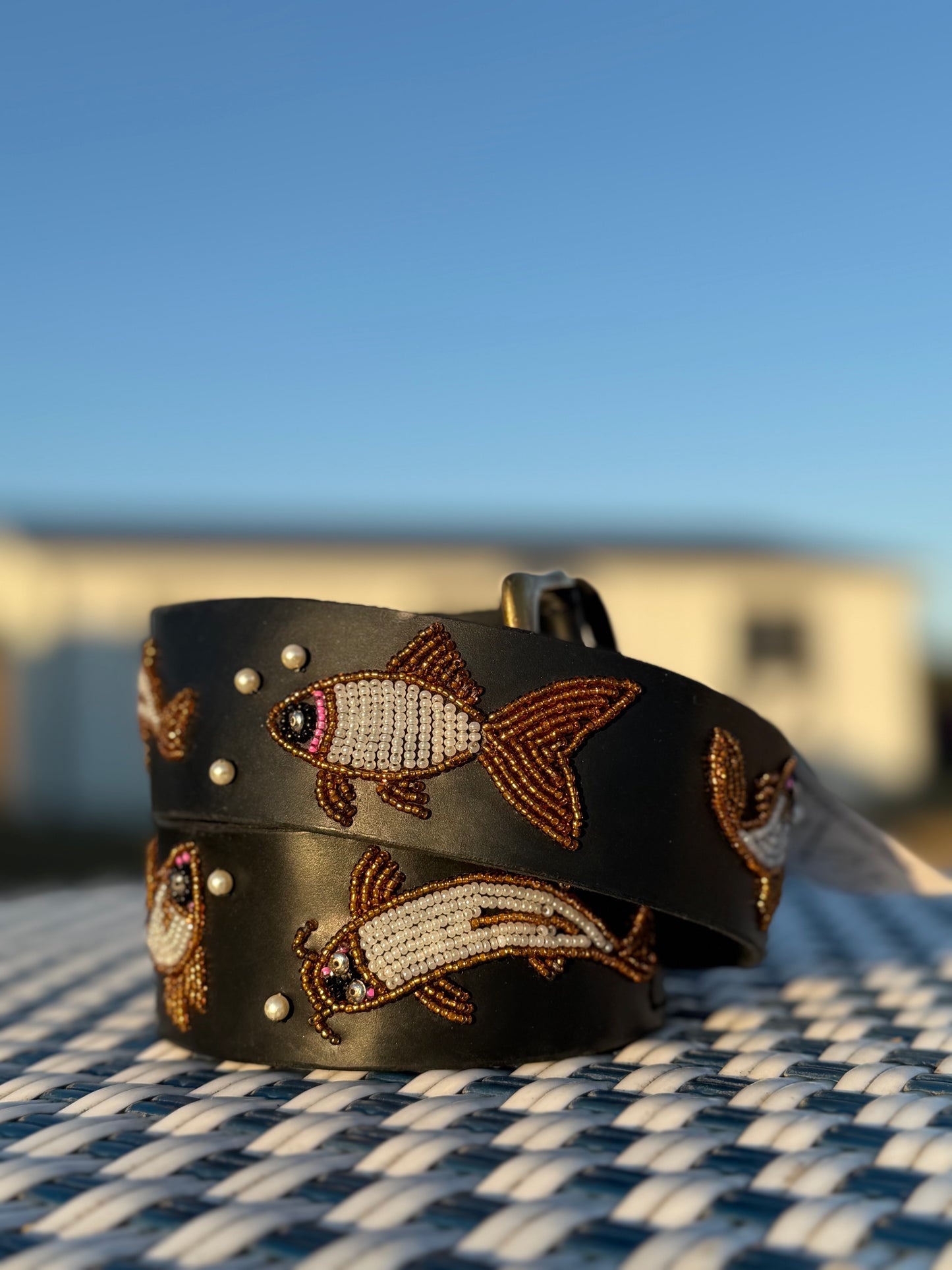 Zinj by Luxe Eq Belts Fish Collection