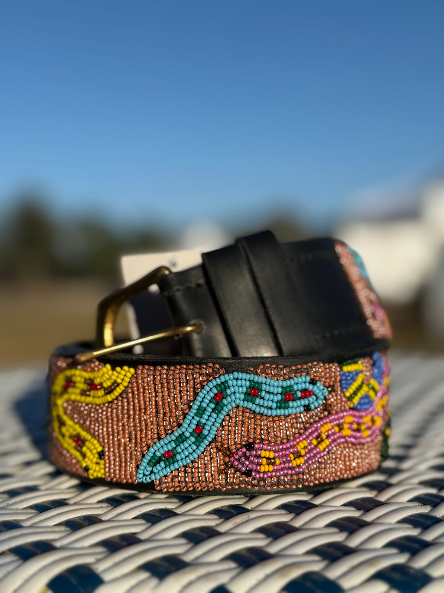 Zinj by Luxe EQ Belts Snake Collection