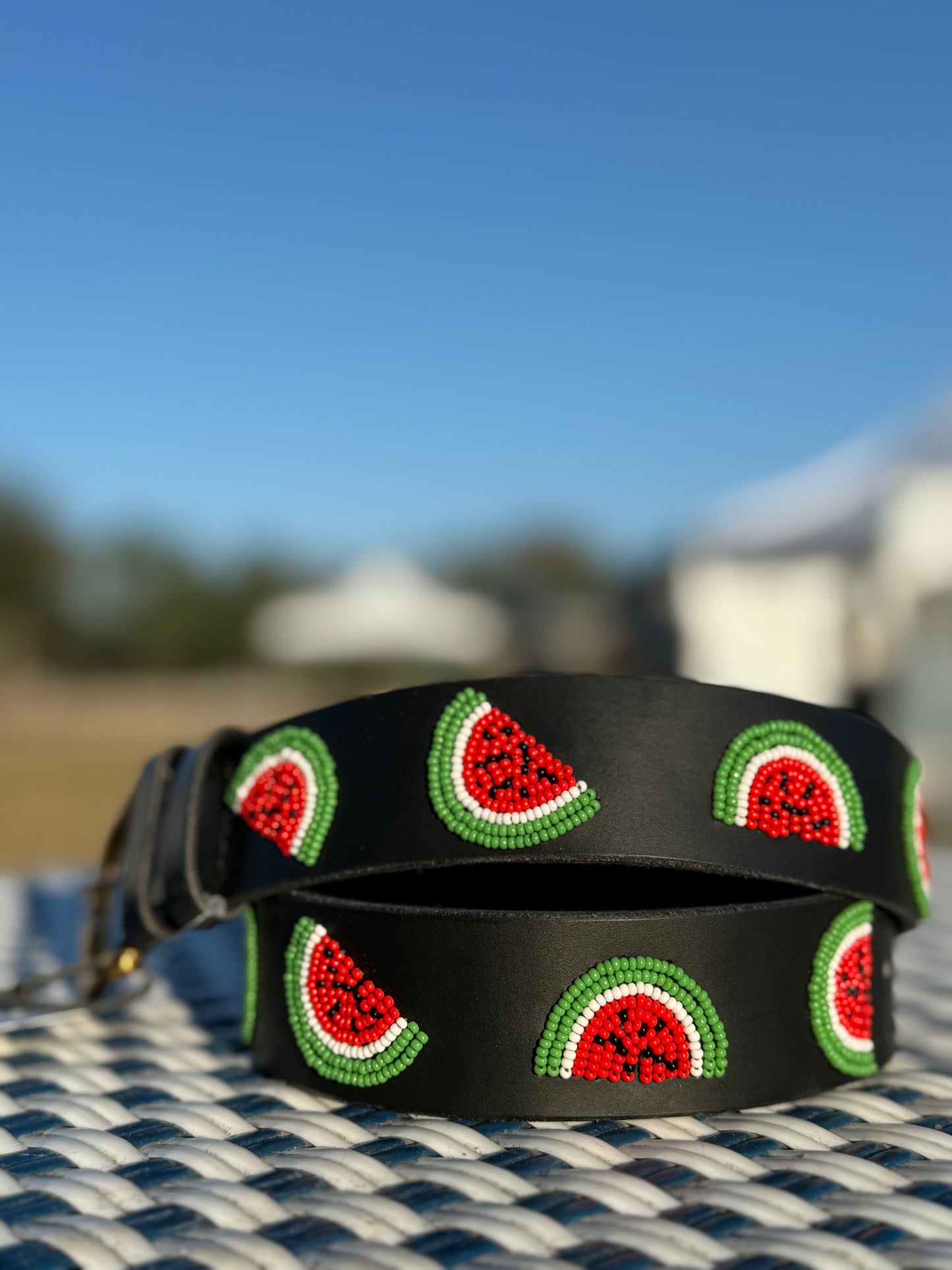 Zinj By Luxe EQ Children's Belts