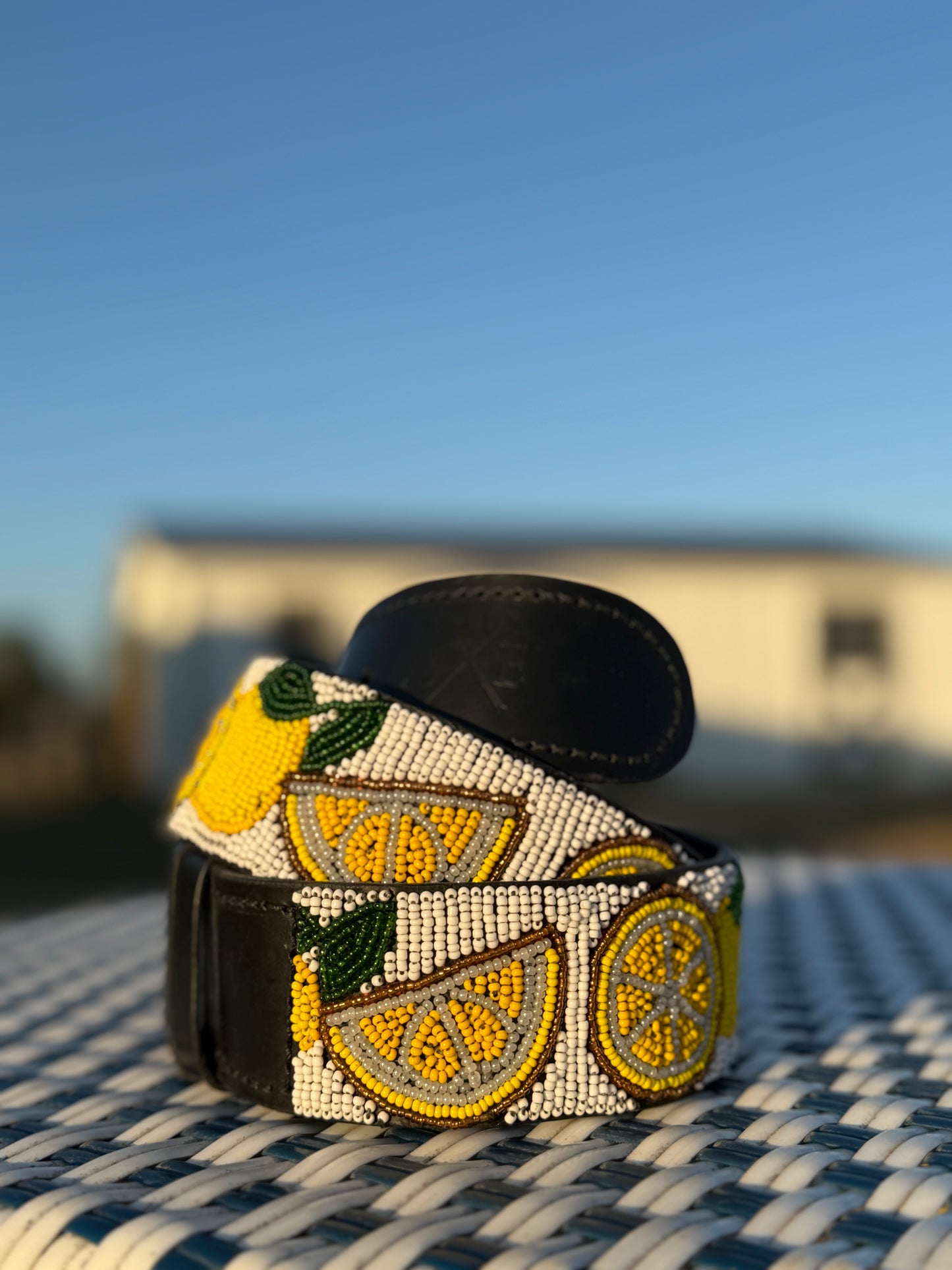 Zinj By Luxe EQ Belts Fruits and Veggies Collection