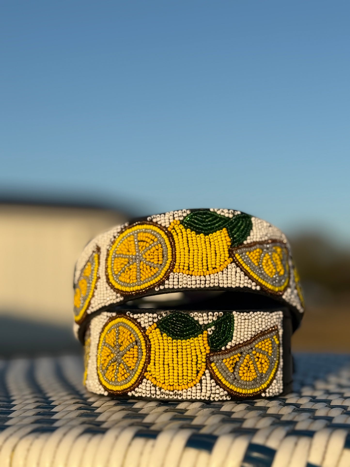 Zinj By Luxe EQ Belts Fruits and Veggies Collection