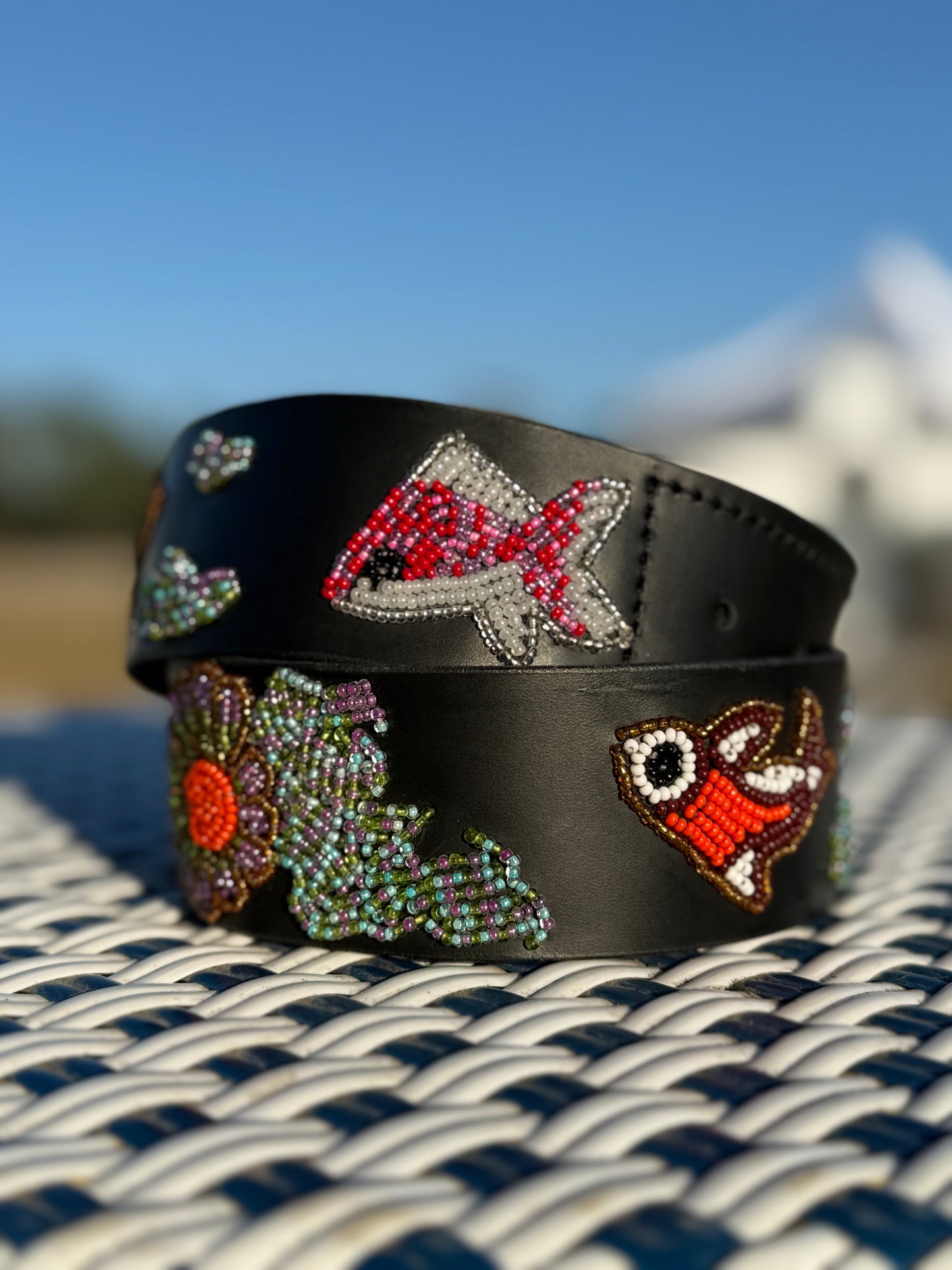 Zinj by Luxe Eq Belts Fish Collection