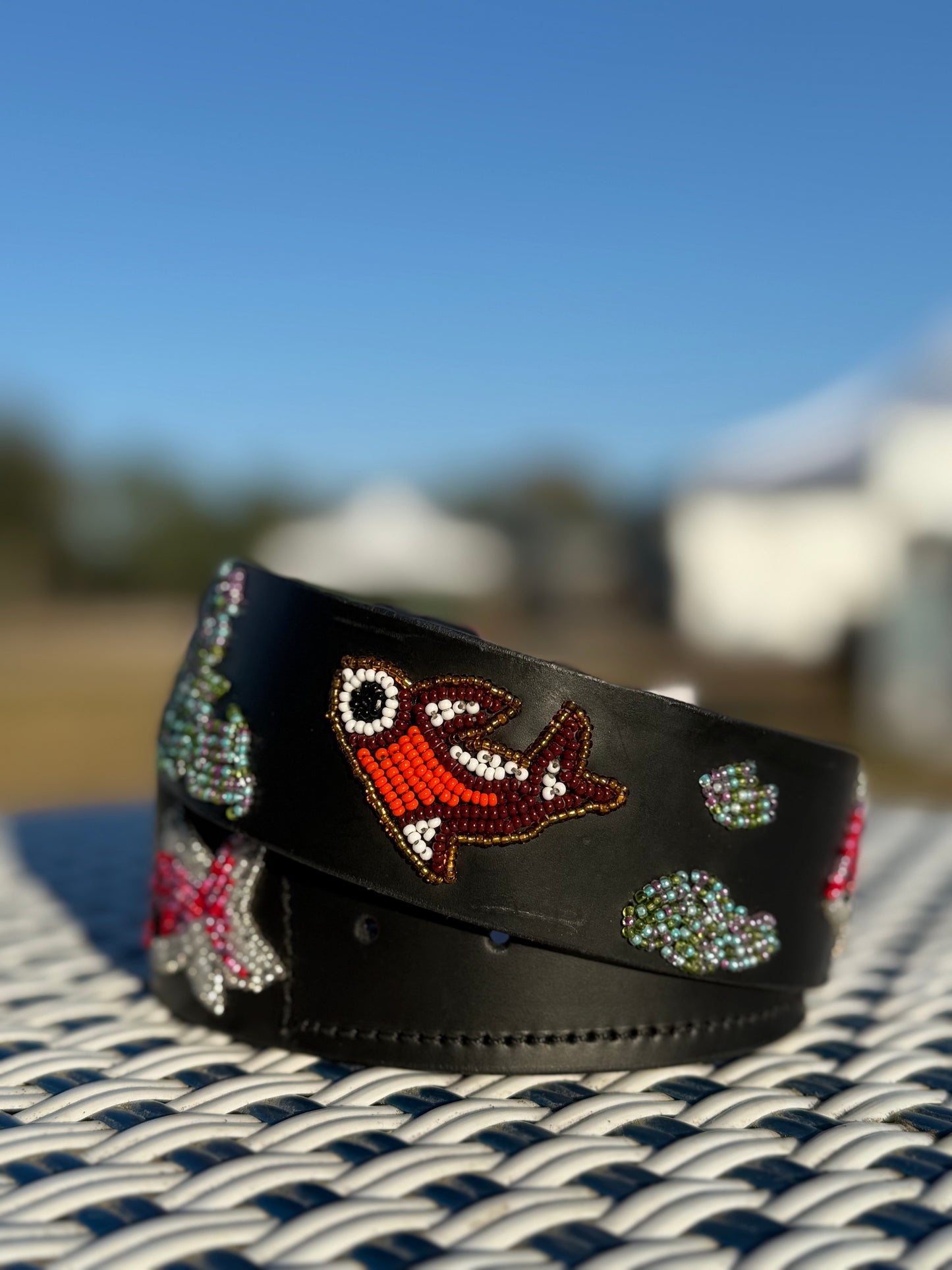 Zinj by Luxe Eq Belts Fish Collection