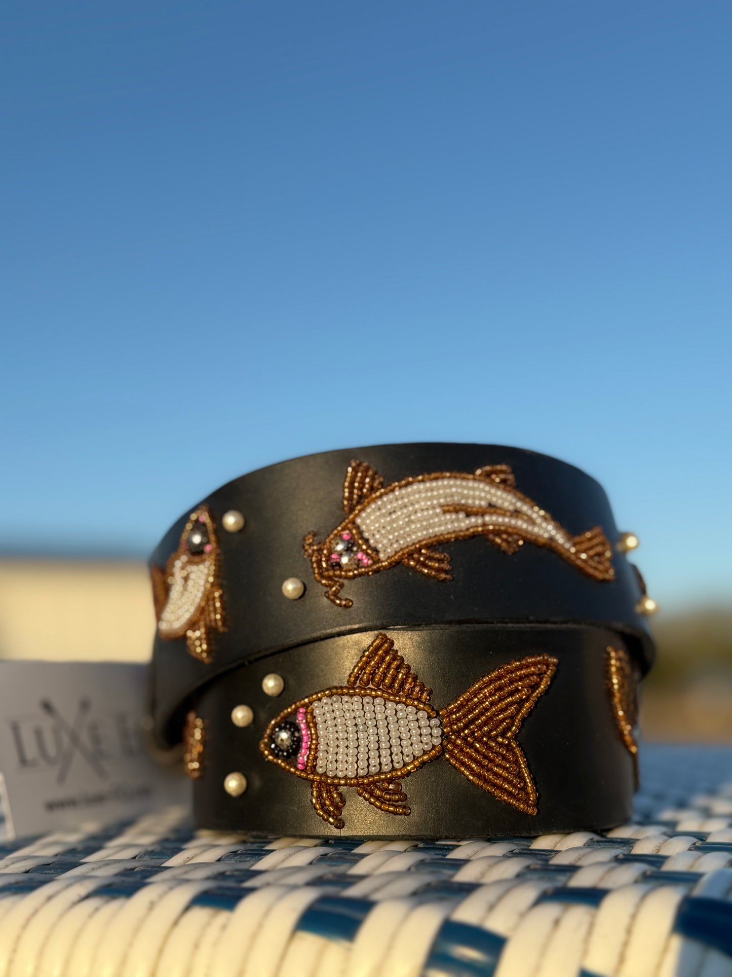 Zinj by Luxe Eq Belts Fish Collection