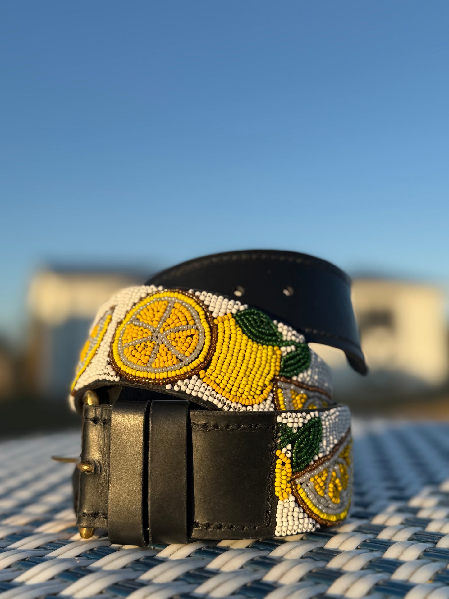 Zinj By Luxe EQ Belts Fruits and Veggies Collection