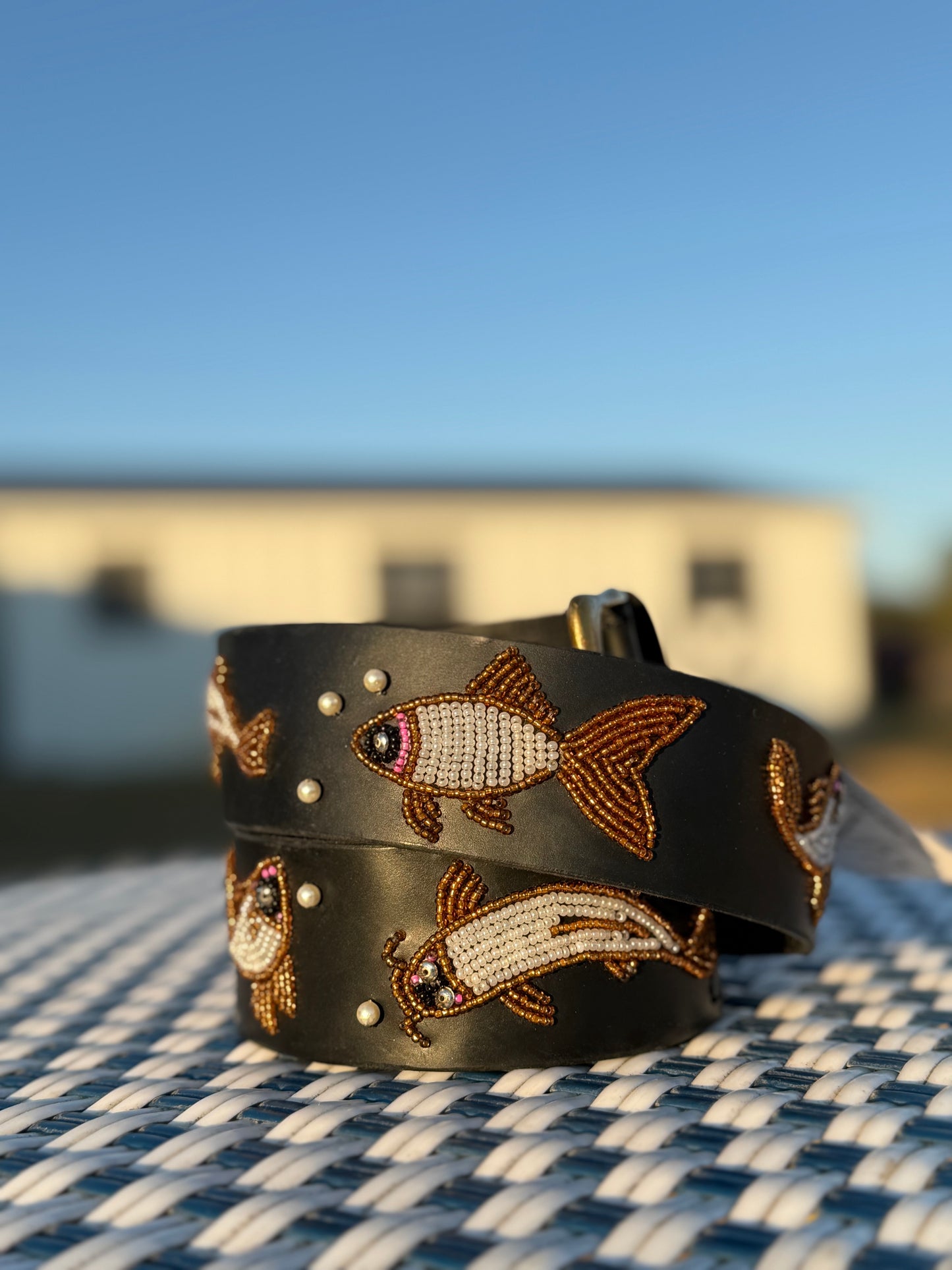 Zinj by Luxe Eq Belts Fish Collection