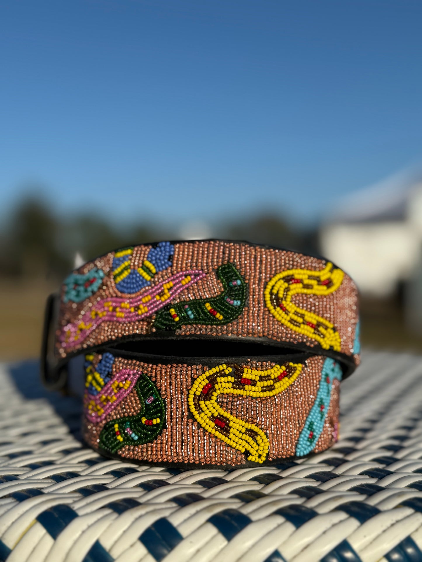 Zinj by Luxe EQ Belts Snake Collection