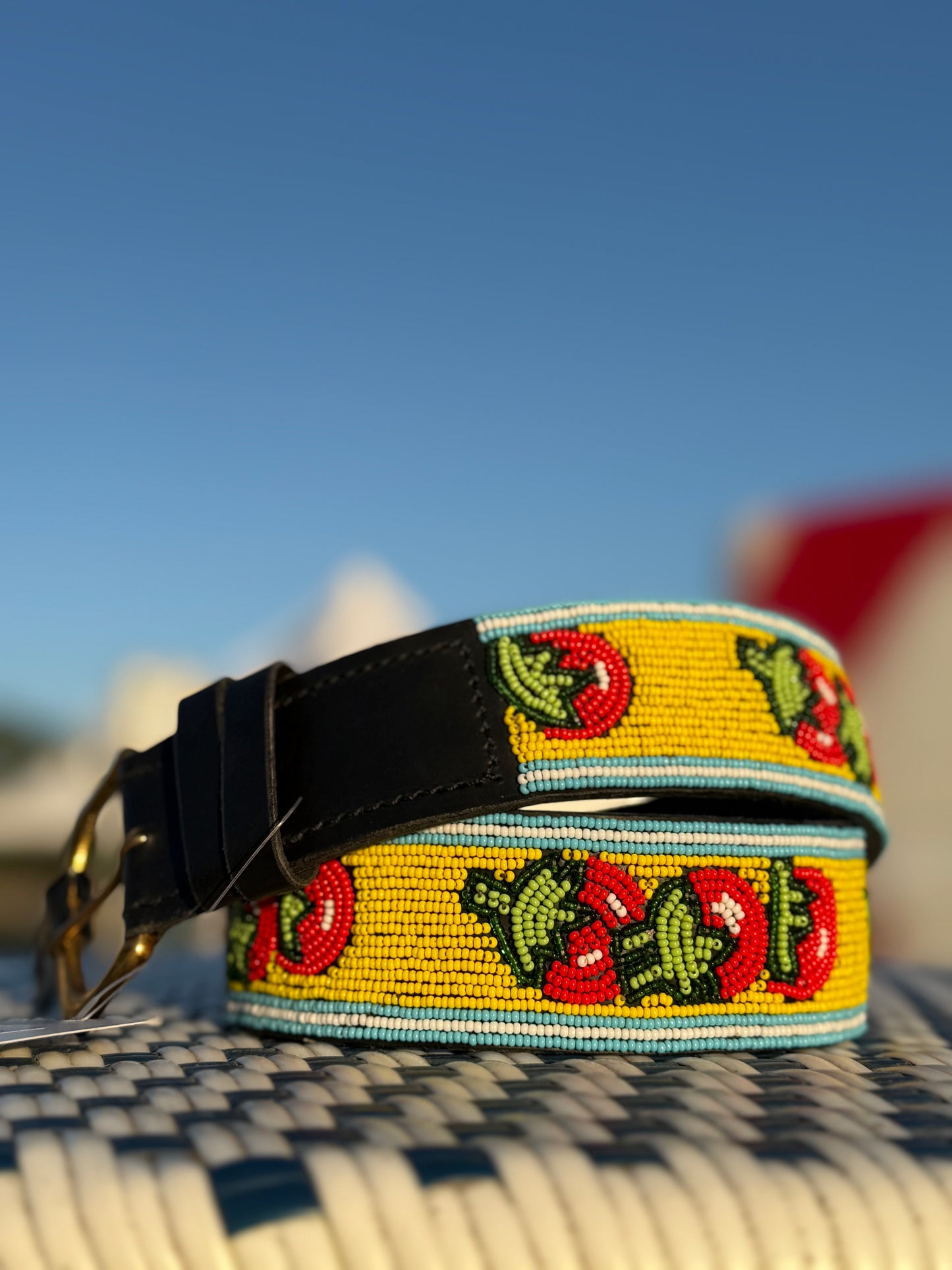 Zinj By Luxe EQ Belts Fruits and Veggies Collection