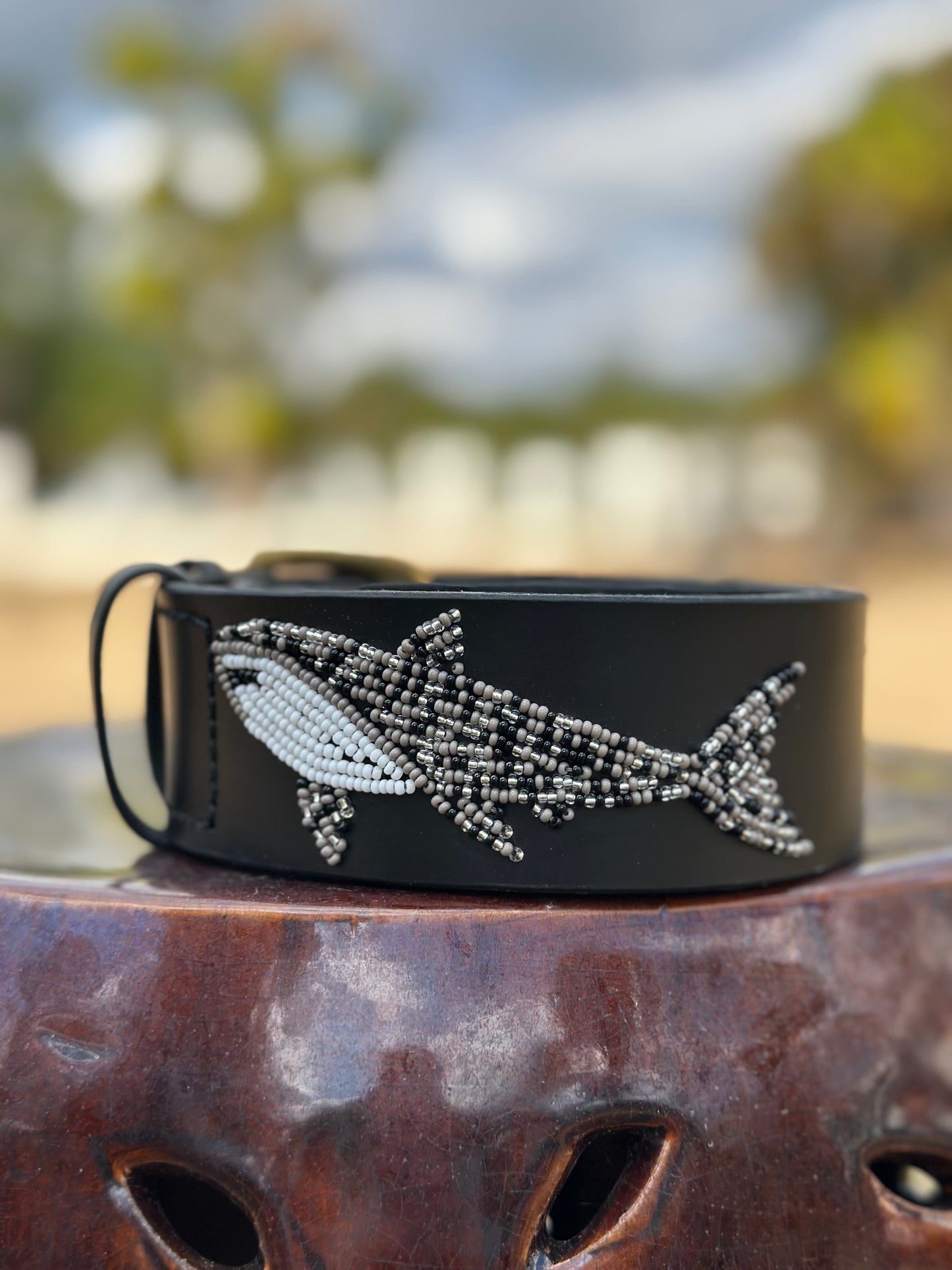 Zinj by Luxe Eq Belts Shark Collection - Luxe EQ