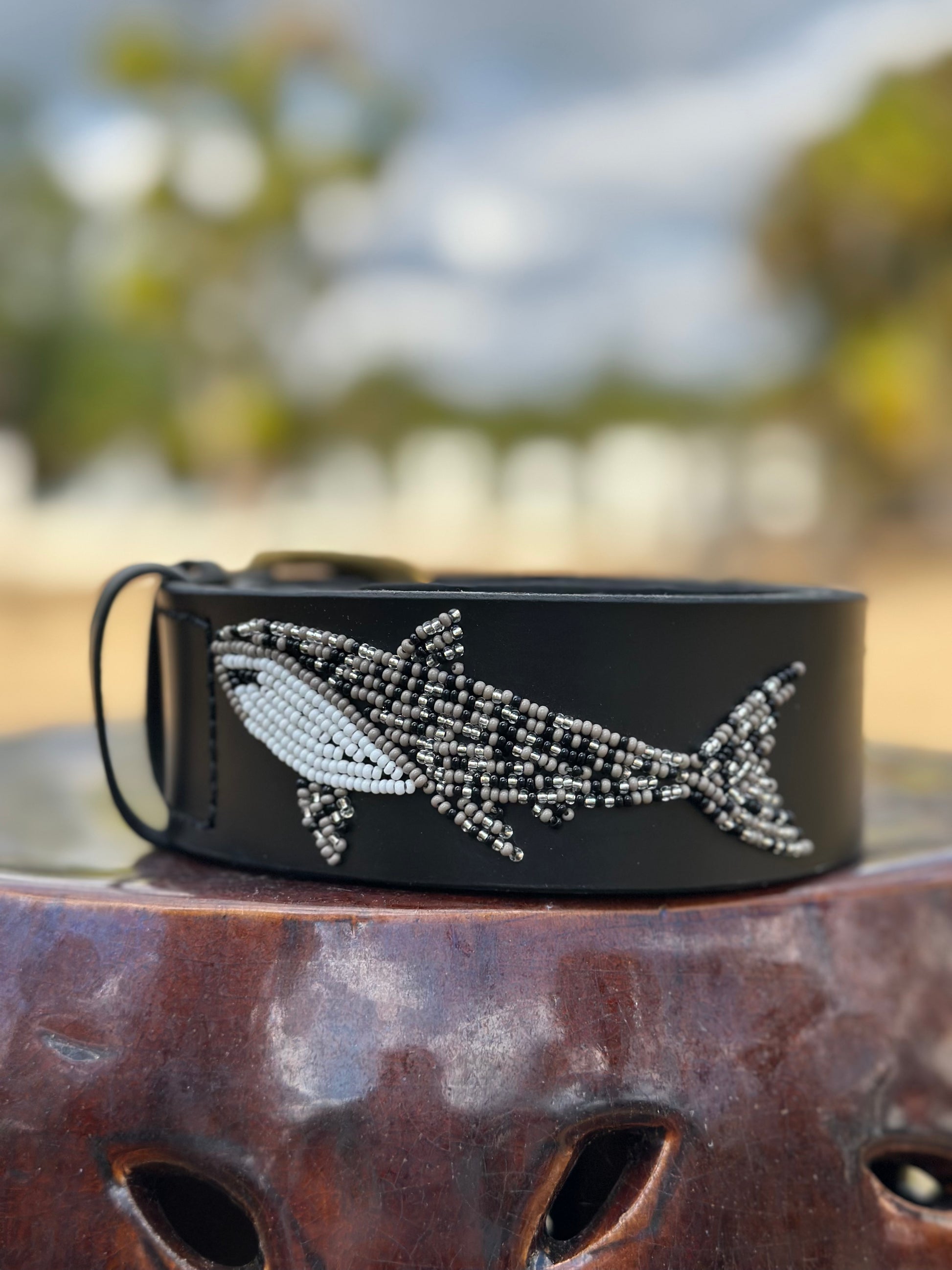 Zinj by Luxe Eq Belts Shark Collection - Luxe EQ
