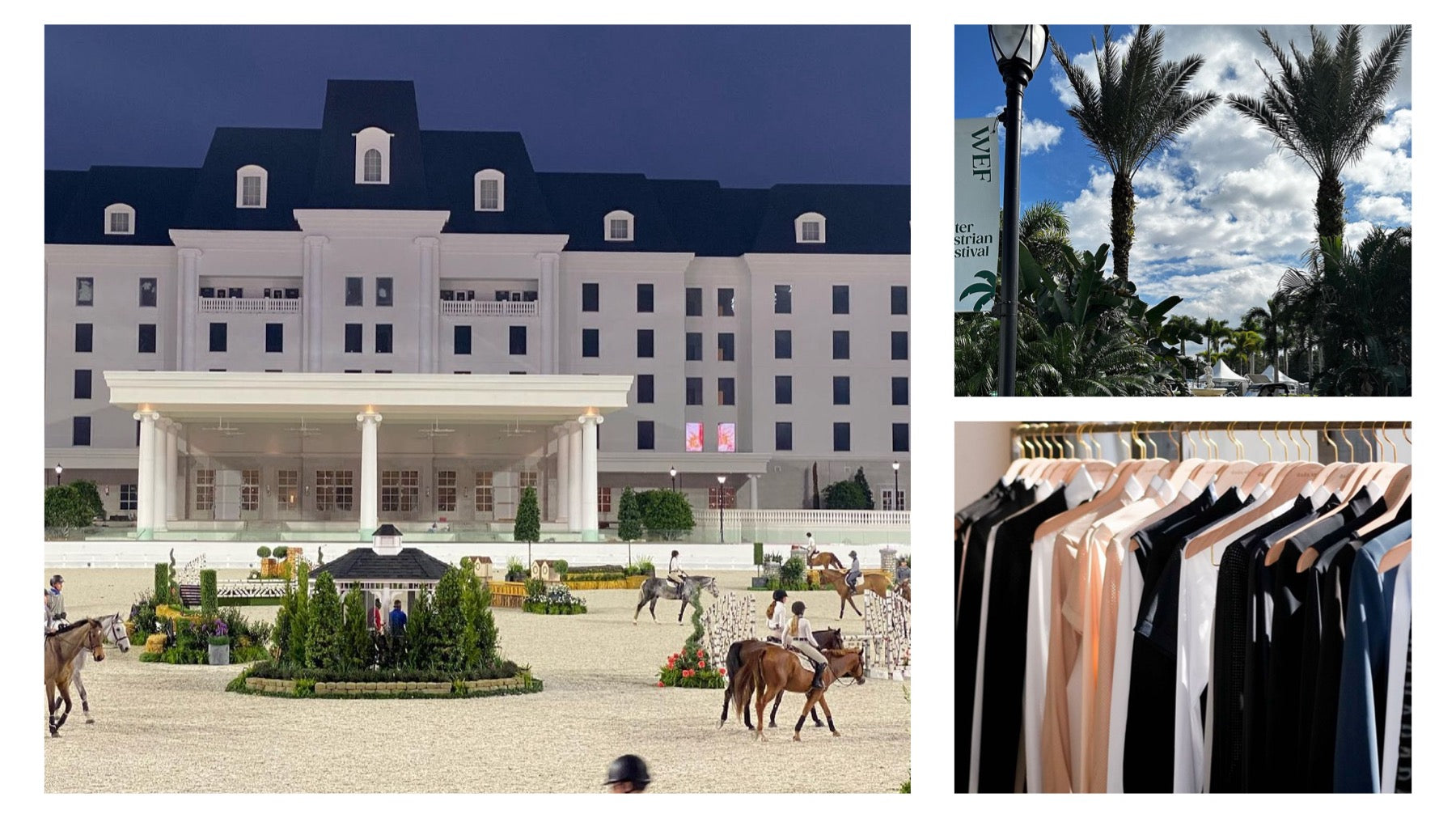 Luxe EQ : the best source for equestrian lifestyles