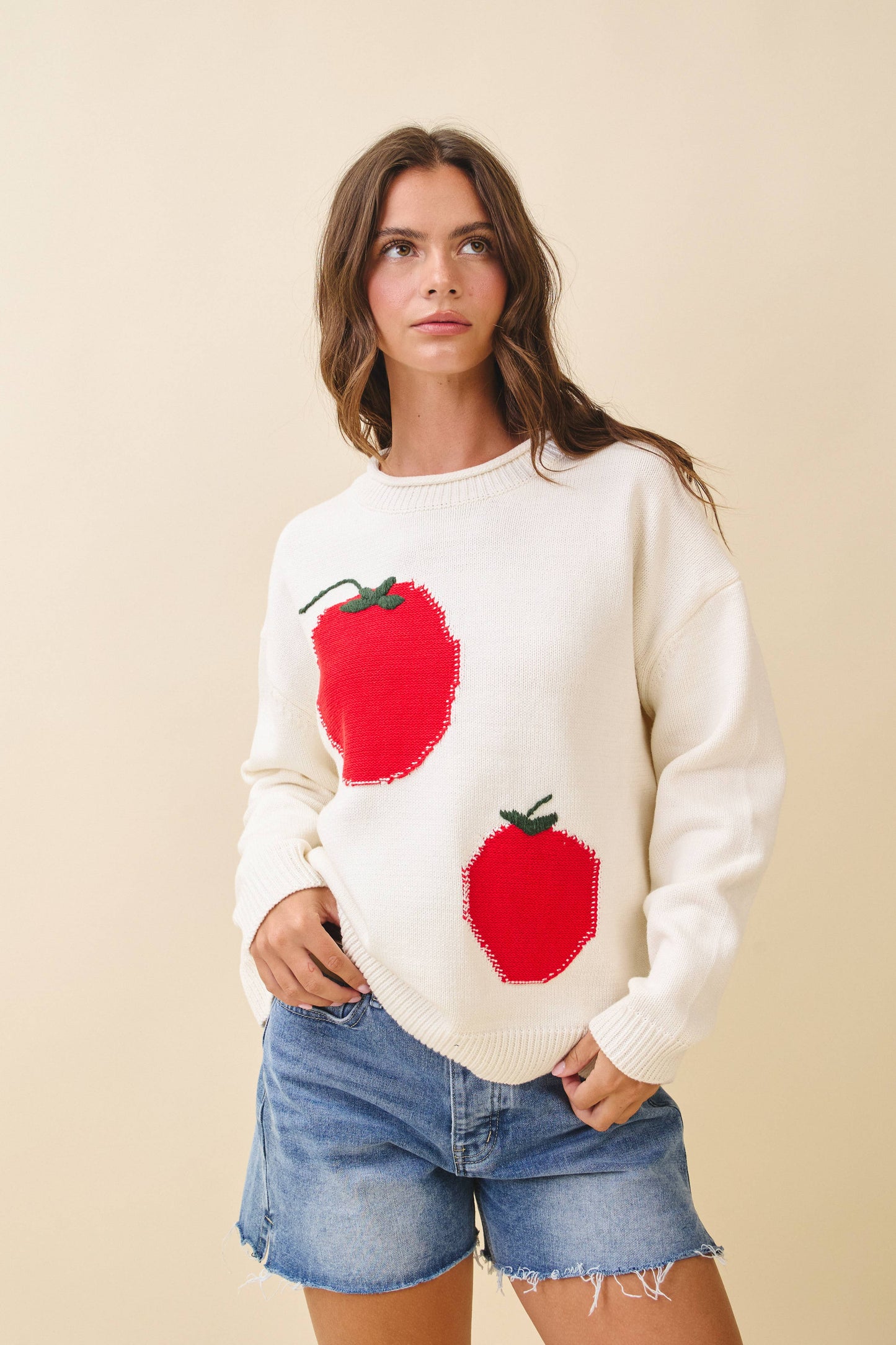 3434GK Oversized Graphic Knit Sweater