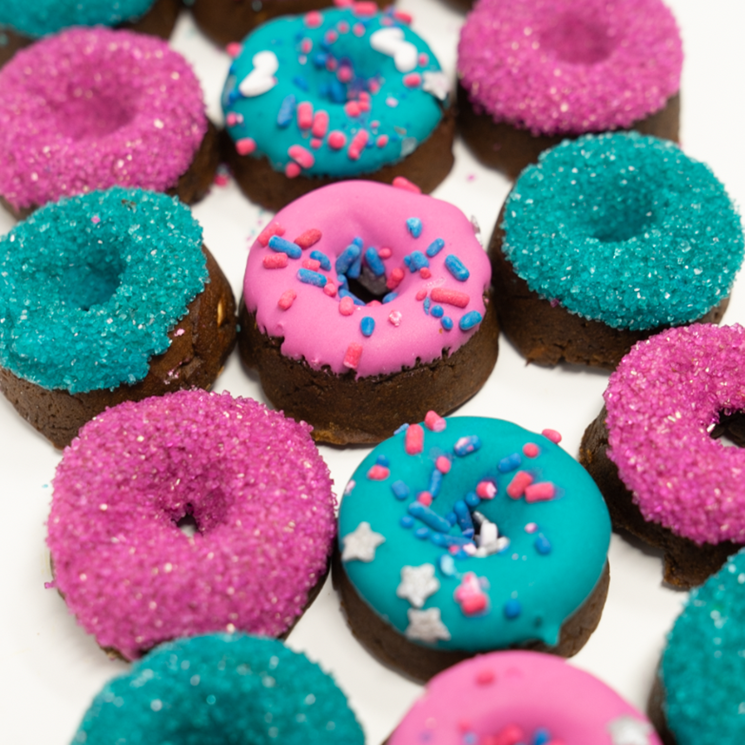Rockstar | Mini Donuts - Luxe EQ