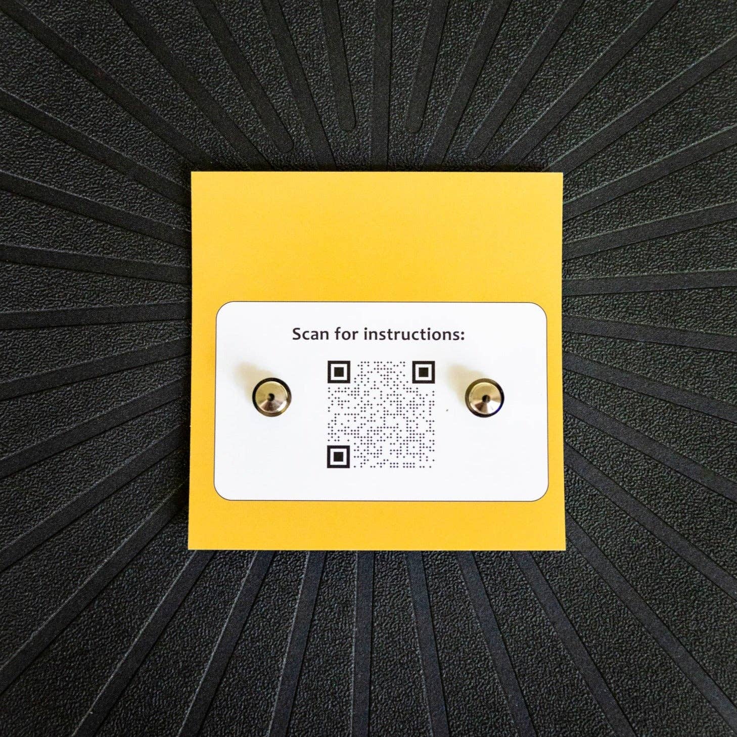 Wild Thing Pins - Luxe EQ